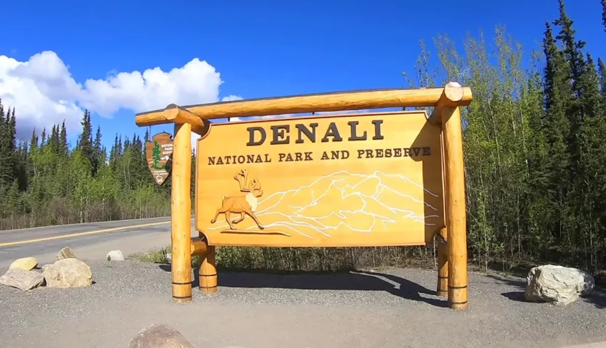 Vườn quốc gia Denali - Hành trình vào thiên đường nguyên sơ của Alaska