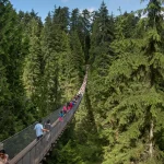Cầu treo Capilano - Phiêu lưu trên biểu tượng của Vancouver