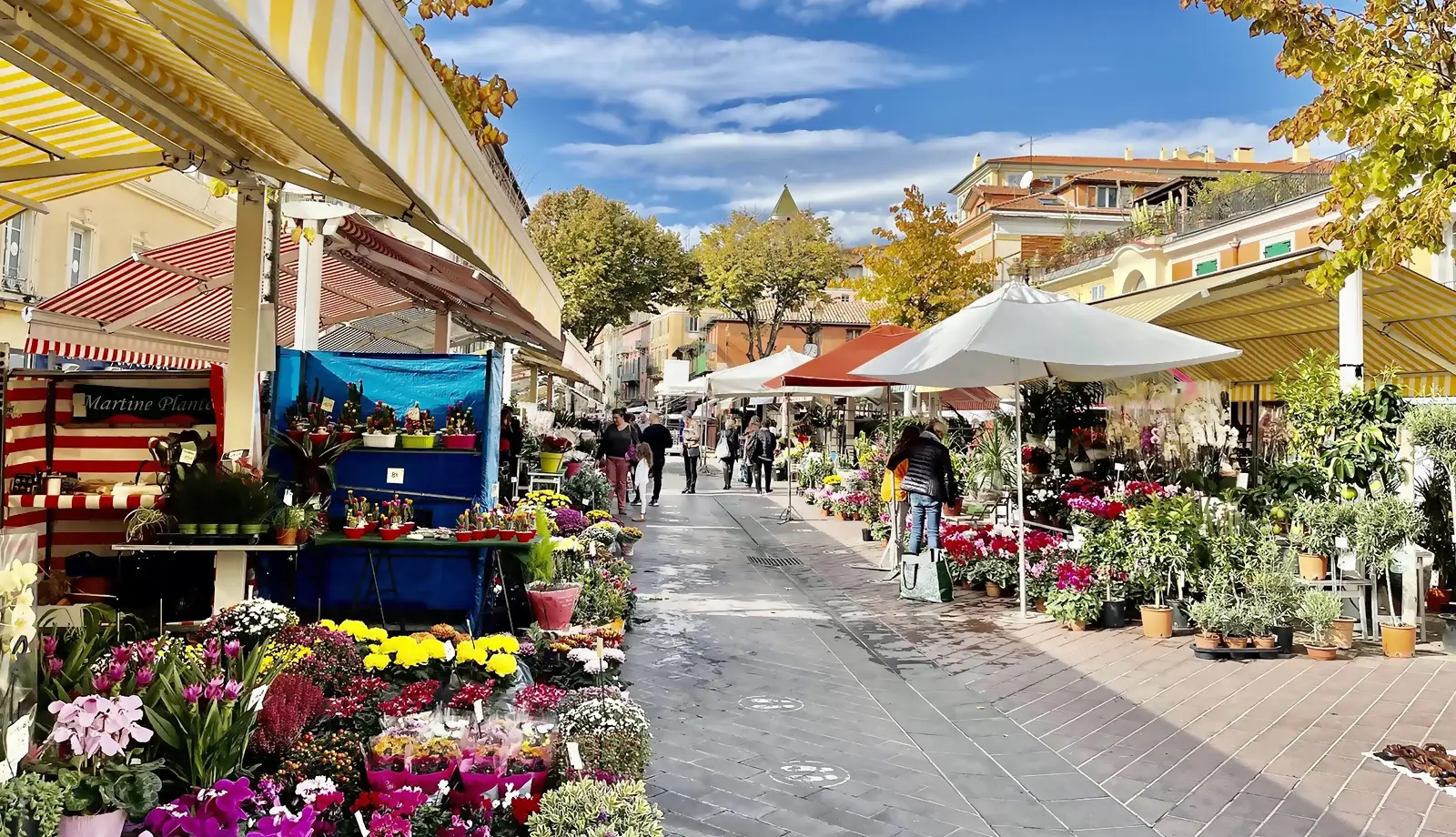 Chợ hoa Cours Saleya - Thiên đường màu sắc và hương thơm trong lòng Nice