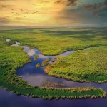 Vườn quốc gia Everglades - Hành trình khám phá vùng đất hoang dã