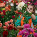 Vẻ đẹp mê hoặc của Lễ hội hoa Chelsea tại xứ sở sương mù