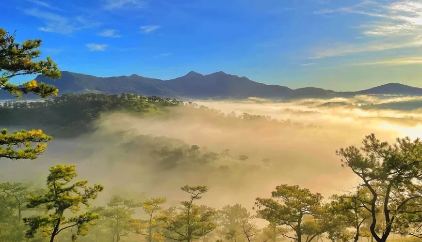 Bật mí TOP 5 địa điểm du lịch hot nhất Đà Lạt 2025