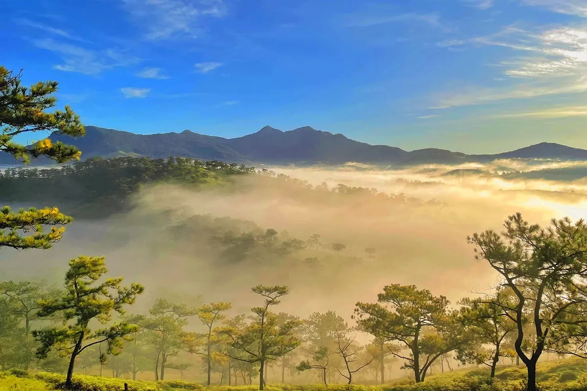 Bật mí TOP 5 địa điểm du lịch hot nhất Đà Lạt 2025