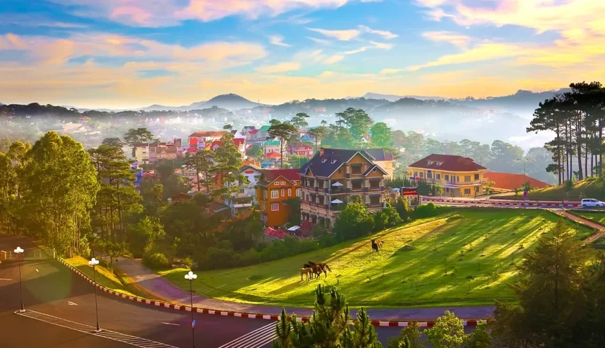 Kinh nghiệm từ A đến Z dành cho người đi du lịch Đà Lạt lần đầu